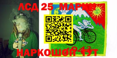 гидропоника Шахты