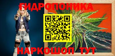 гидропоника Шахты