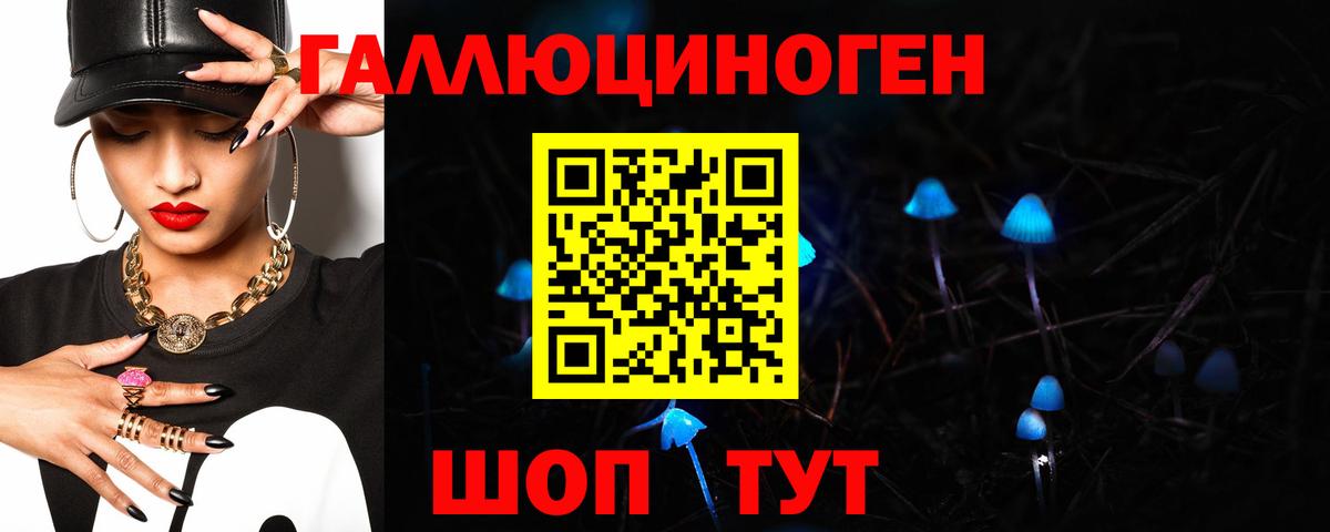 Галлюциногенные грибы Psilocybine cubensis Георгиевск